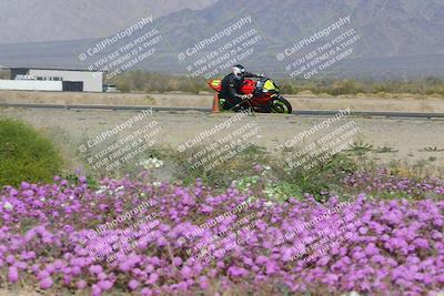 media/Feb-04-2023-SoCal Trackdays (Sat) [[8a776bf2c3]]/Turn 15 Inside Blooming (1050am)/